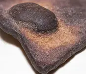 mystery_rock_macro_photo.webp