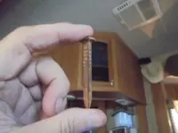 Nail.webp