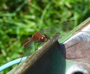 DSCN4270.webp