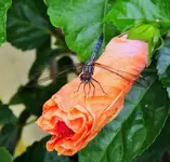 DSCN3327.webp