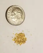 gold find.webp