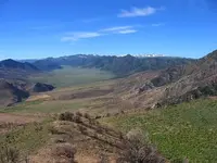 33505855_8b26bf646d_z.webp