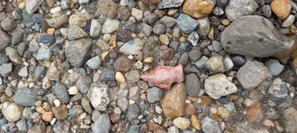 20210621_122807.webp