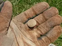 Eagle Dug.webp