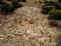 Sand 132 004.webp