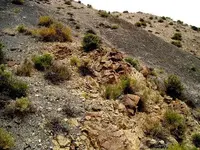 Sand 132 007.webp