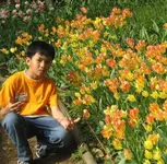 ll.webp