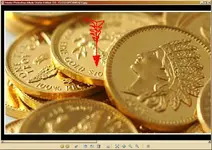 coin.webp