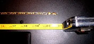 goldch4.webp