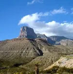 untitled_1.webp