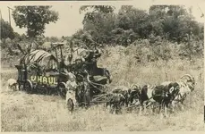 !!!Copy of photogypsies.webp