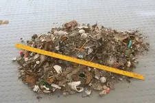 Trash Yard-950.webp