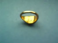 IMAG0005.webp