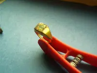 IMAG0007.webp