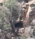 treasurecave.webp