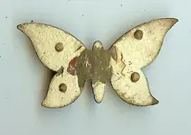 Butterfly Pin.webp