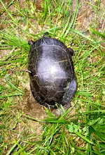 20210621_200214.webp