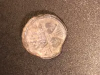 button.webp