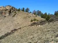Looking toward saddle Jim's long hike sad to see tailings here.webp