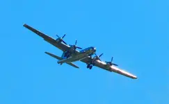 DSCN5978.webp