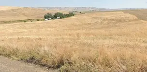 several parcels of land.webp several parcels of land.webp