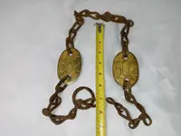 cattlechains.webp