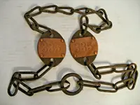 cattlechain2.webp