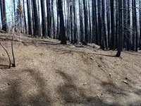 IMG_20210407_121412041.webp