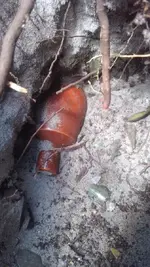 Site-InSitu2-Close.webp Site-InSitu2-Close.webp