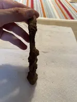 Unknown 5.webp