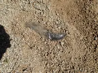 P3311820.webp