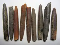 Belemnites.webp