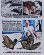 fobru-giant-penguin-hoax-2.webp fobru-giant-penguin-hoax-2.webp