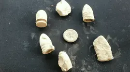 Screenshot_20210302-104151 - Copy.webp