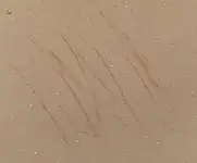 Scratch_Test.webp