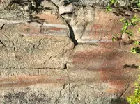 162058BF-6C55-42D3-A349-FB85066479C9.webp
