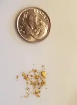 foreign gold.webp