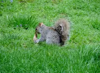 K1600_DSCN1084.webp