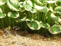 DSCN0588.webp