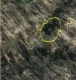 Cabin Older Aerial photo.webp