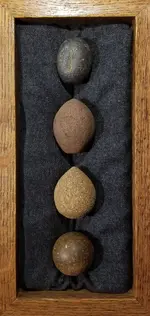 frameEGGS.webp