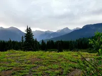 20210720_155602.webp