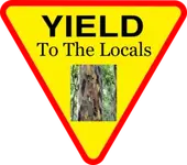 Yield-Sign-Poisonwood-300x266 (1).webp Yield-Sign-Poisonwood-300x266 (1).webp