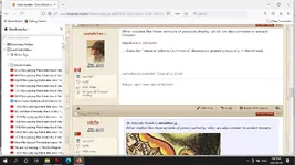 screenshot for sdcfia.webp