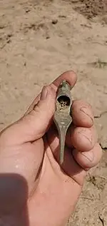 123_1_117.webp