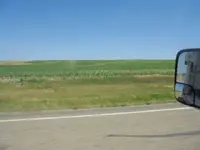 CORN.webp