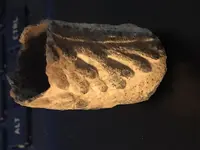 VYHT5577.webp VYHT5577.webp