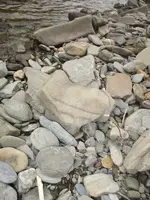 07Kwgj9.webp