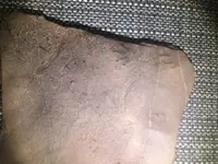 242C65B5-E54E-4C9A-8ED6-929D29EBFEE3.webp
