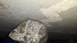 16182211185793755615871316103401.webp